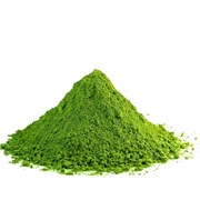 Хлорелла (CHLORELLA), порошок 100г